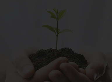 asiagame(中国区)官方网站